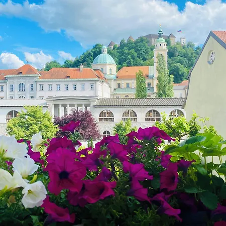 The Serenity Bed & Breakfast