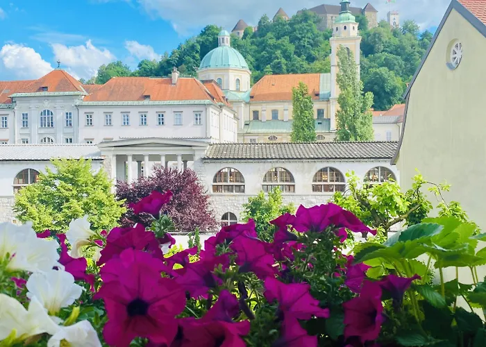 The Serenity לינה וארוחת בוקר